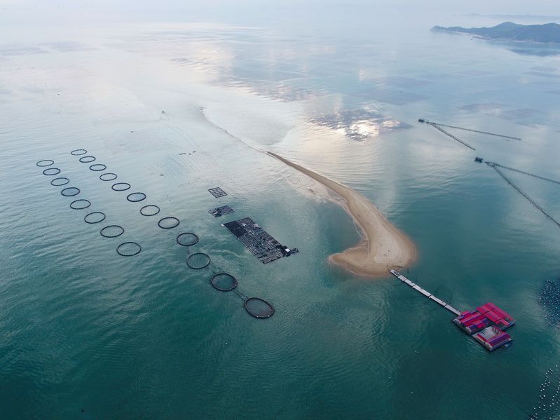 ????? ????? ??????? ??????? ?? ???? ???? ?????