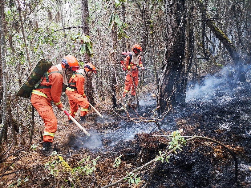 ????? ????? ??????? ?? ???? ???? ?????