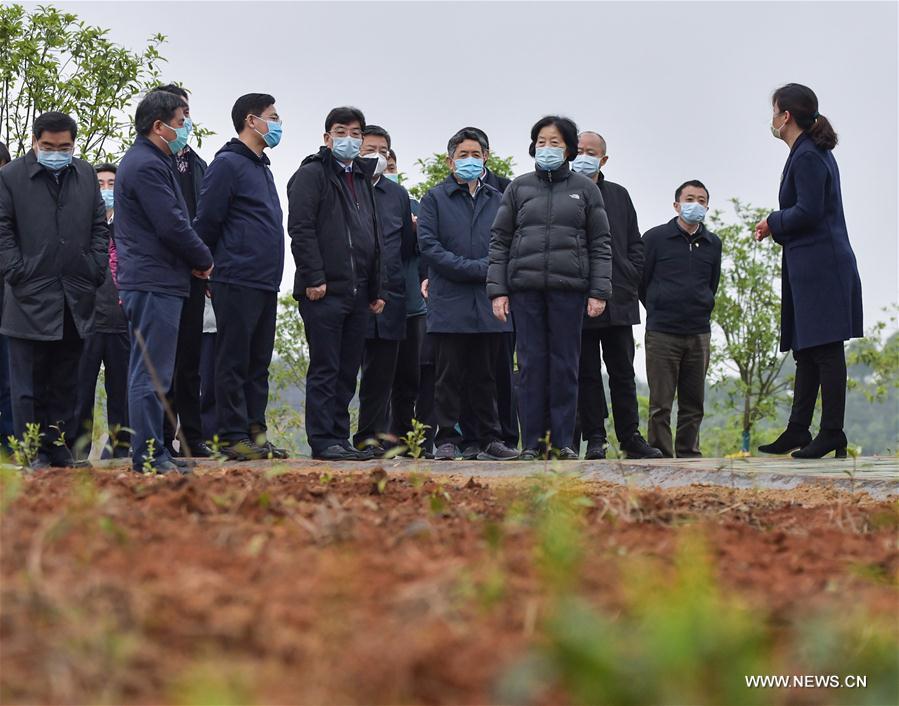 ????? ???? ???? ?????? ?????? ??? ??? ??????? ???????