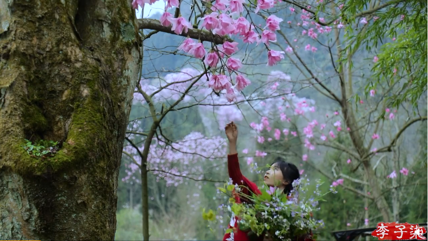 ?? ??? ?????? .. ?????? ????? ????? ?????? ?????? ???? ??????