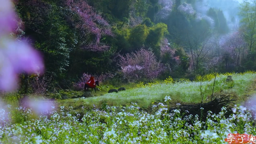 ?? ??? ?????? .. ?????? ????? ????? ?????? ?????? ???? ??????