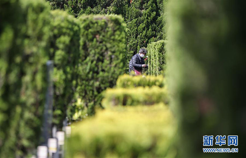 ???????? ?????? ??? ??? ????? ?????? ???? ?????? ?? ??? ?????????