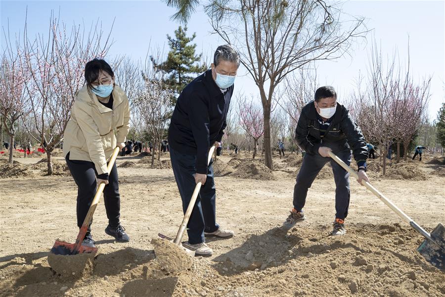 ?????? ?? ???? ?????? ?? ???? ???? ??? ?????? ???????