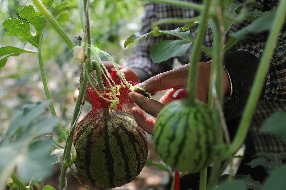  ????? ??????? ?? ??????? ??? ????????? ?? ???? ???? ?????