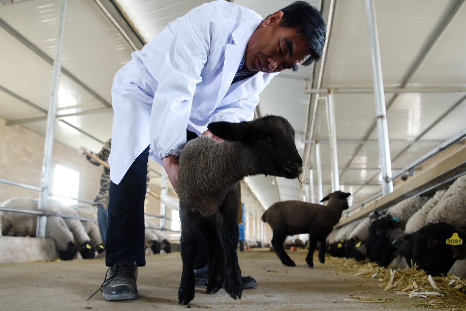 ????? ??????? ????? ??? ????? ????? ???? ???? ?????