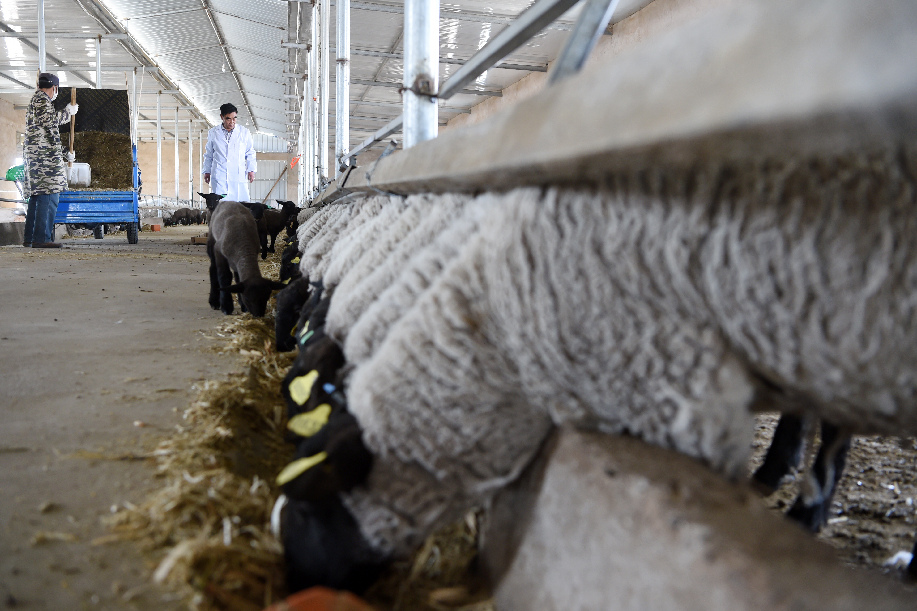 ????? ??????? ????? ??? ????? ????? ???? ???? ?????