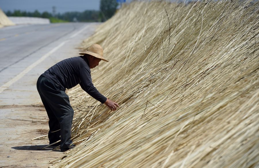 ?????? ?????? ?? ??????? ????? ?? ????? ??? ???????? ?? ?????? ????? ?????