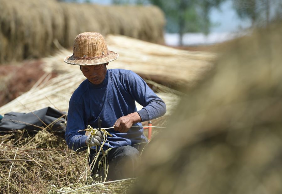 ?????? ?????? ?? ??????? ????? ?? ????? ??? ???????? ?? ?????? ????? ?????