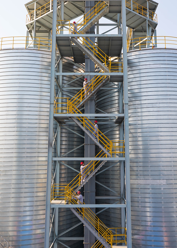 ?????: ??????? ?????? ?? ????? ???? ??? ??????? ???????