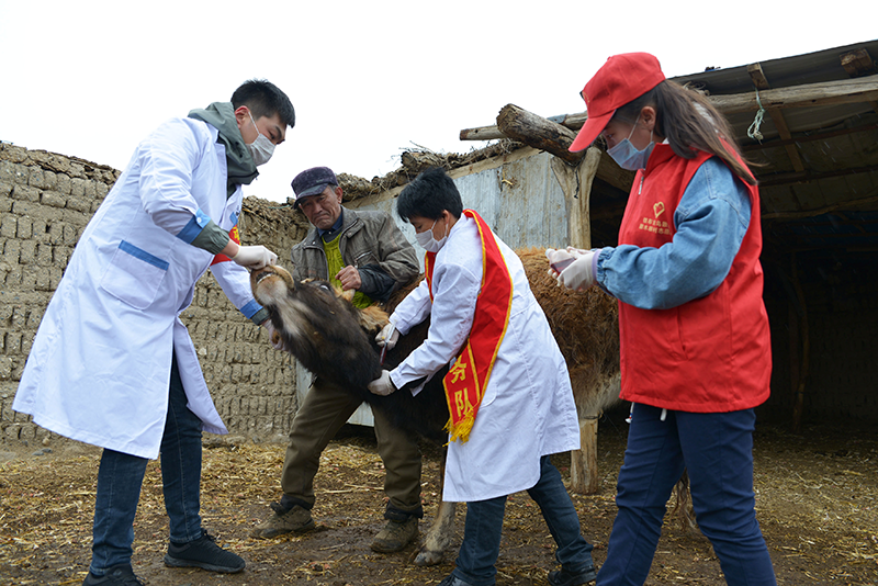 ?????: ?????-19... ????????? ??????? ??? ???????? ?? ???? ???? ???????