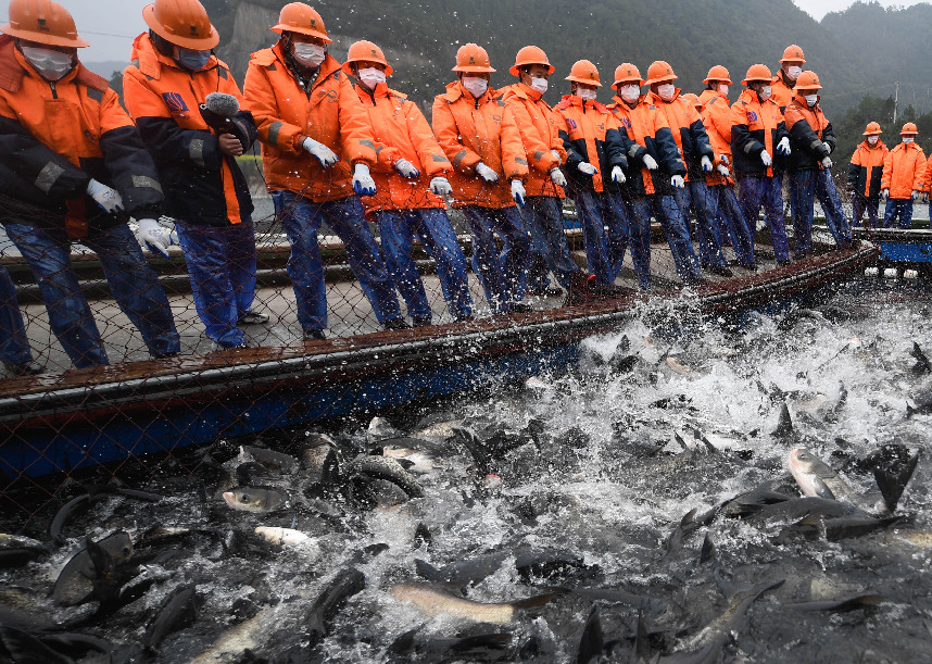 ?????: ????? ???? ????? ?????? ????? ?????? ?? ??? 2020