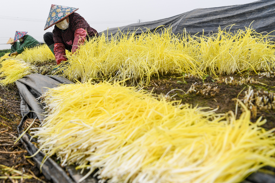 ?????: ????? ???? ????? ?????? ????? ?????? ?? ??? 2020