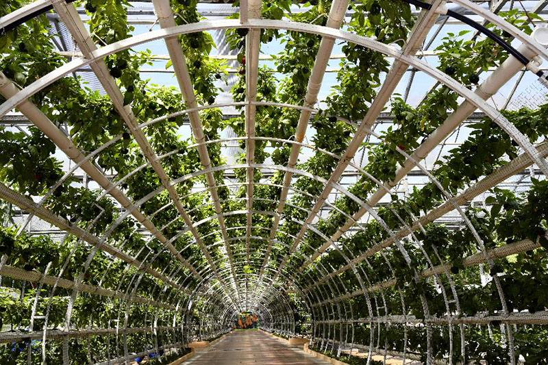 ????? ???????? ???? ???? ?? ???? ?????