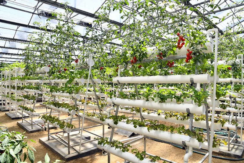 ????? ???????? ???? ???? ?? ???? ?????