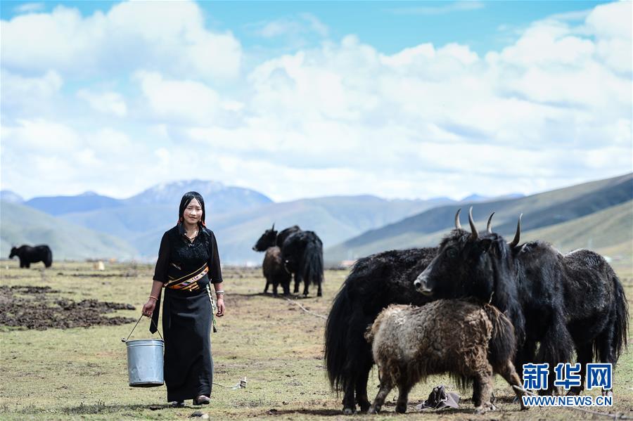 ???? ?? ????? ??????: ???????? ????? ???? ????????? ?? ????? ??????