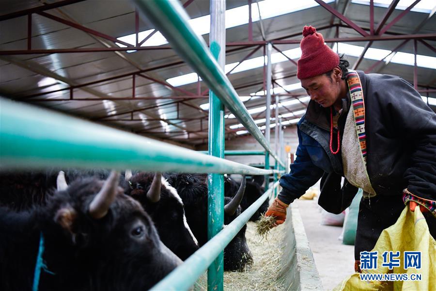 ???? ?? ????? ??????: ???????? ????? ???? ????????? ?? ????? ??????