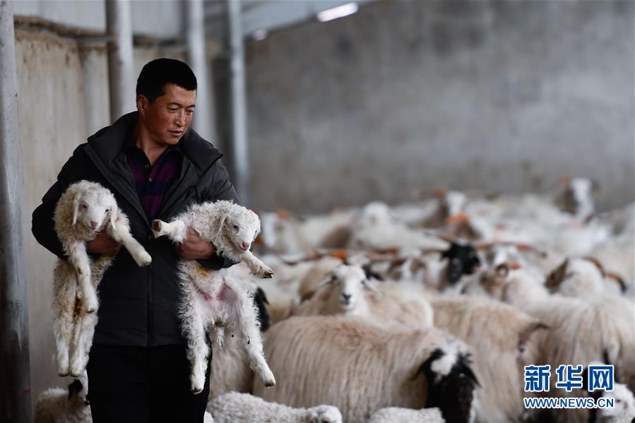 ???? ?? ????? ??????: ???????? ????? ???? ????????? ?? ????? ??????