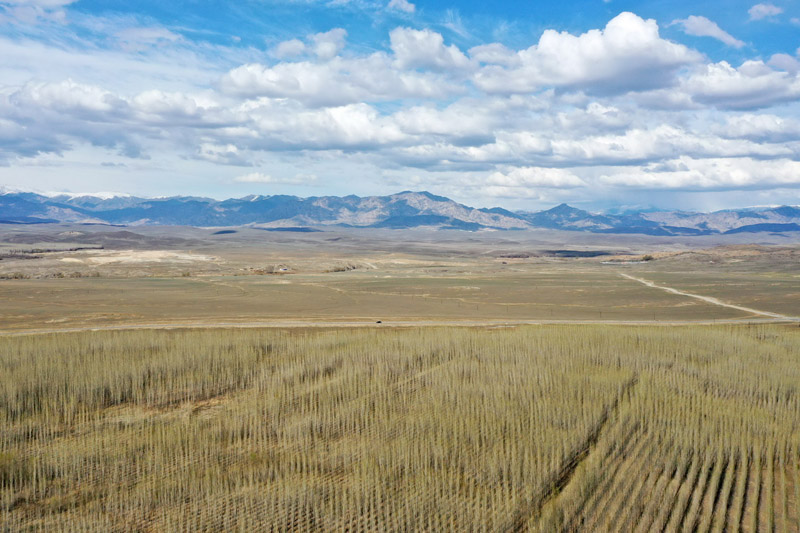 ??? ????? ???????: ????? ??????? ????? ????? ?????  ???????? ?? ??????? ??????? ?????????