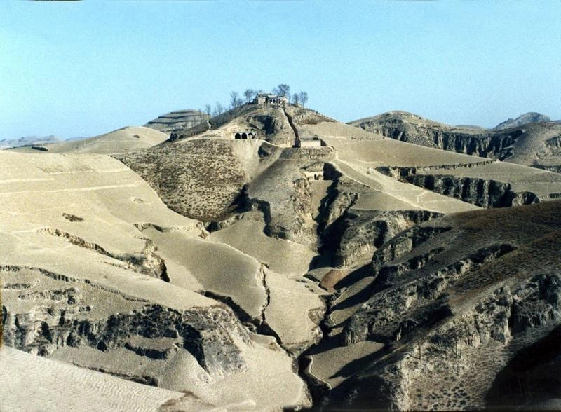 ????? ???????: ????? 