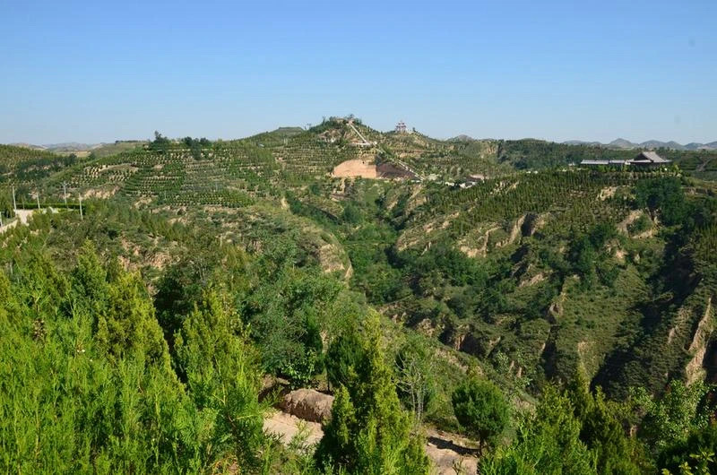 ????? ???????: ????? 