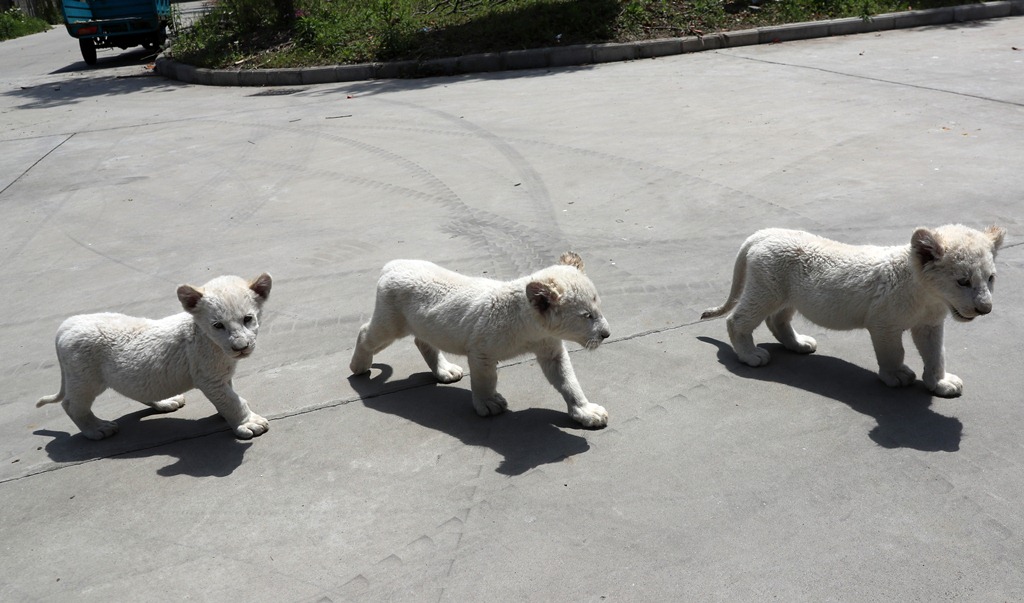 ????? ????? ?????? ?? ???? ?????