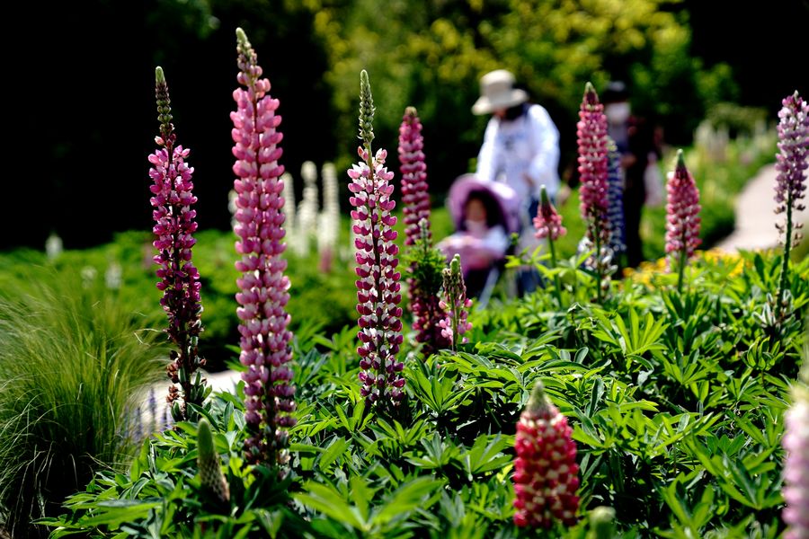 ???? ??? ?????? ?????? ??? ?????? ?????? ?? ?????