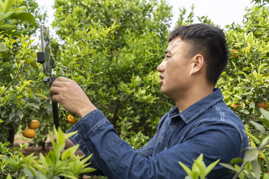 ???? ????? ???? ???? ??????? ??? ?? ????? ??????? ?????? ?? ?????