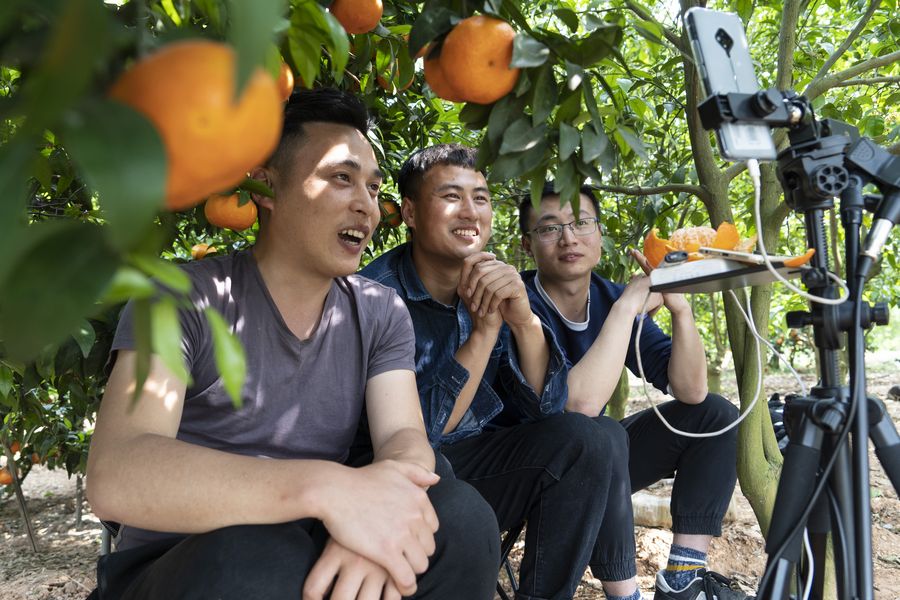 ???? ????? ???? ???? ??????? ??? ?? ????? ??????? ?????? ?? ?????