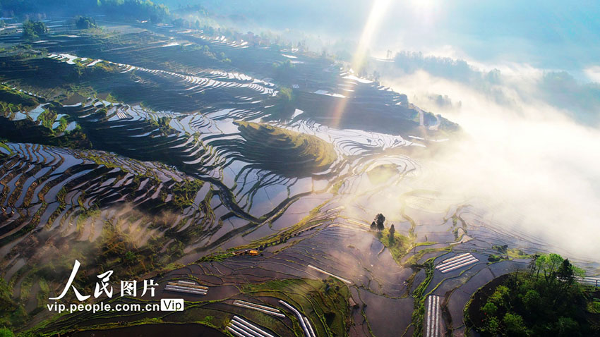 ??????? ???????.. ?????? ??????? ?? ???? ???? ????? ???? ???? ????? ??????