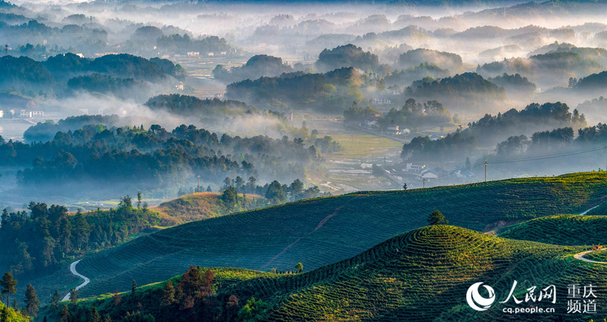 ???? ???? ?????? ????? ????? ?? ???? ???? ?????