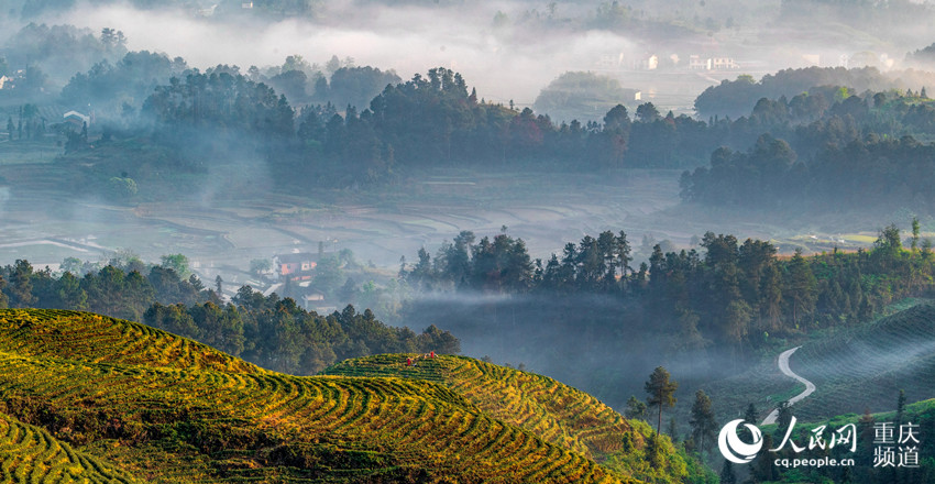 ???? ???? ?????? ????? ????? ?? ???? ???? ?????