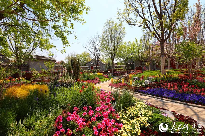 ???? ???? ?????? ??????? 