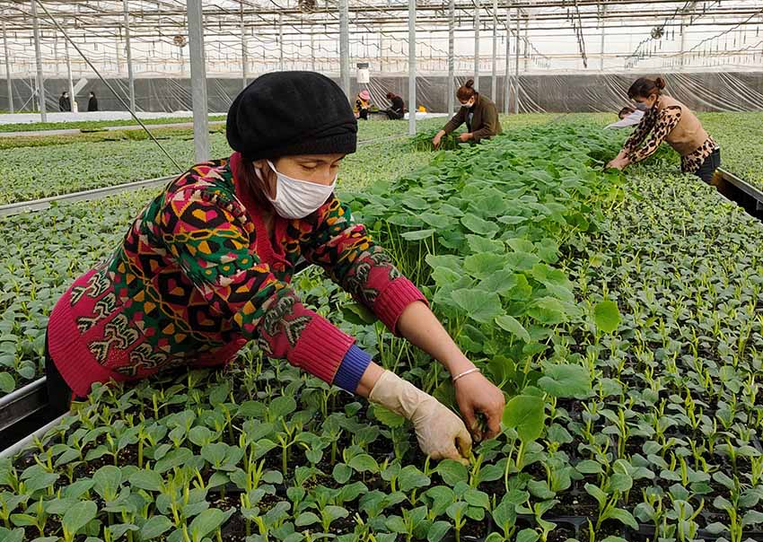 ????????: ???? ?? ????? ?????? ????? ?? ??? ??????