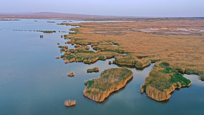 ??????? ?????? ??? ???? ???? ????? ???? ?????