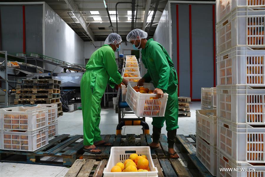 ?????? ????? ??????? ??????? ???? ??? ???? ???? ???????? ?? ??????