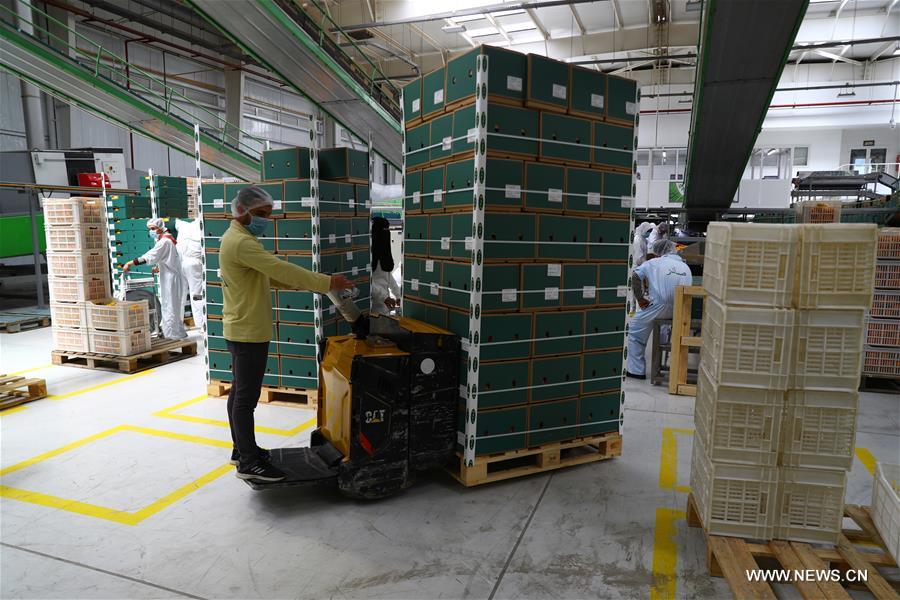 ?????? ????? ??????? ??????? ???? ??? ???? ???? ???????? ?? ??????