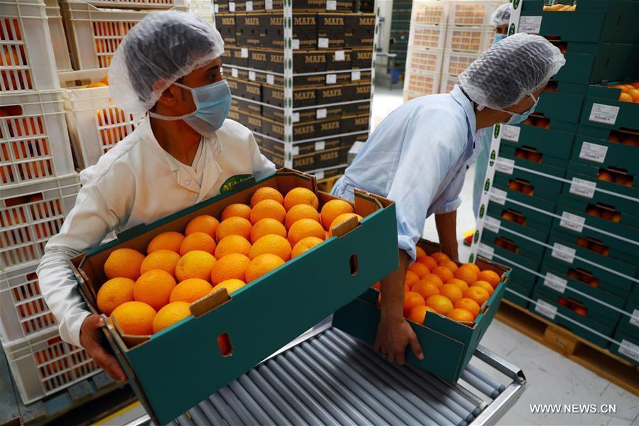 ?????? ????? ??????? ??????? ???? ??? ???? ???? ???????? ?? ??????