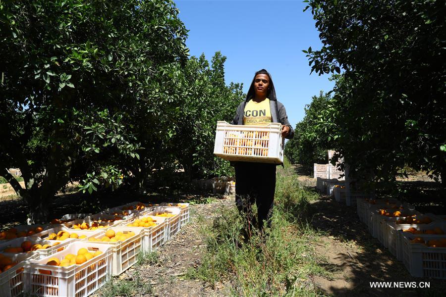 ?????? ????? ??????? ??????? ???? ??? ???? ???? ???????? ?? ??????