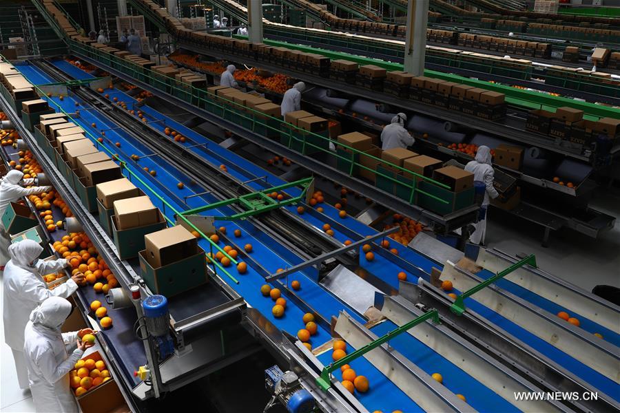 ?????? ????? ??????? ??????? ???? ??? ???? ???? ???????? ?? ??????