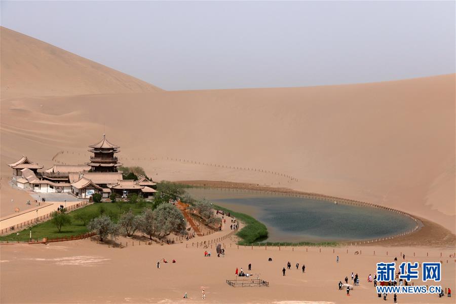 ????? ???? 115 ????? ???? ?????? ????? ???? ???? ??? ??????