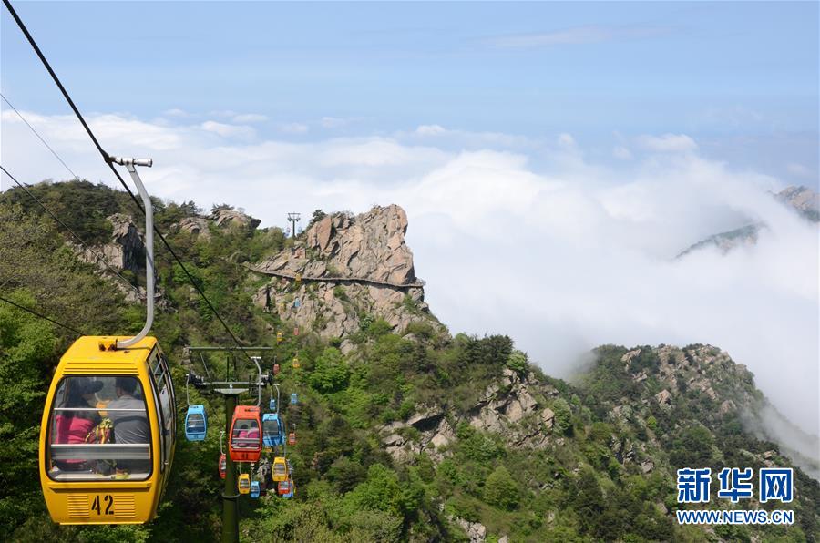 ????? ???? 115 ????? ???? ?????? ????? ???? ???? ??? ??????