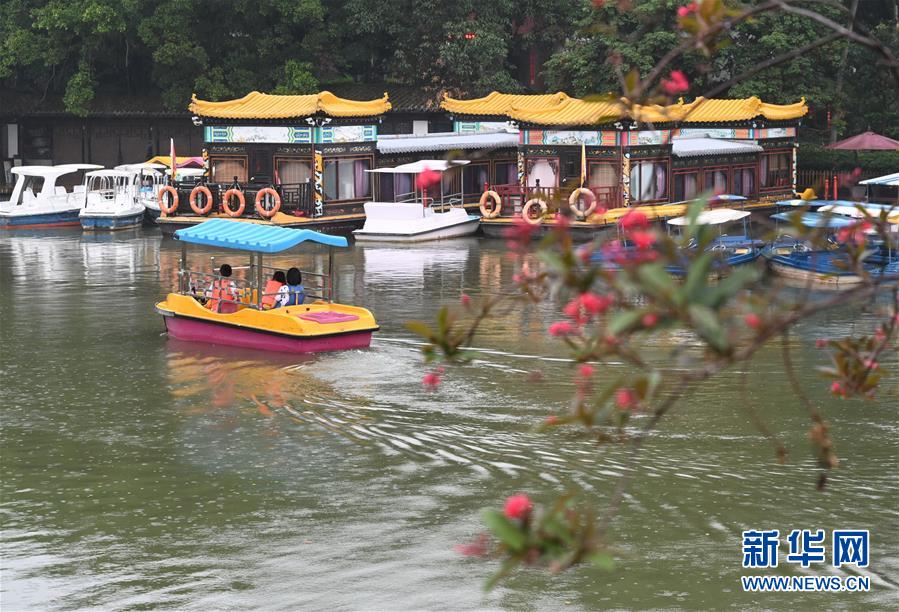 ????? ???? 115 ????? ???? ?????? ????? ???? ???? ??? ??????