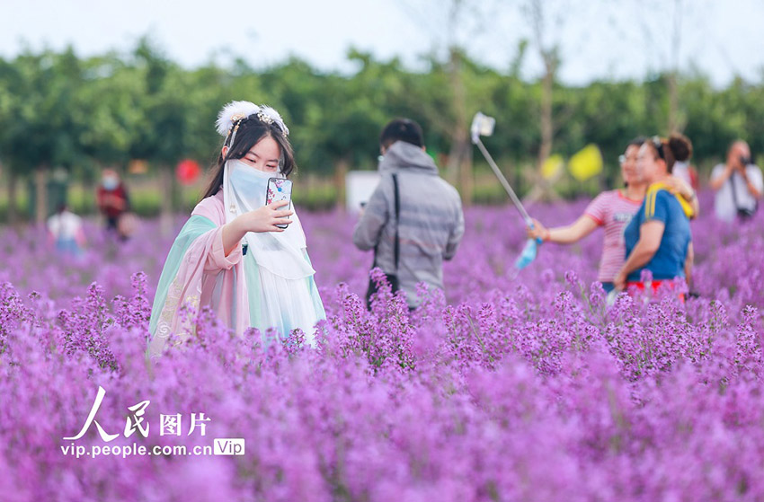 ????? ???? ??????? (????????) ?????? ???? ???? ???? ????????