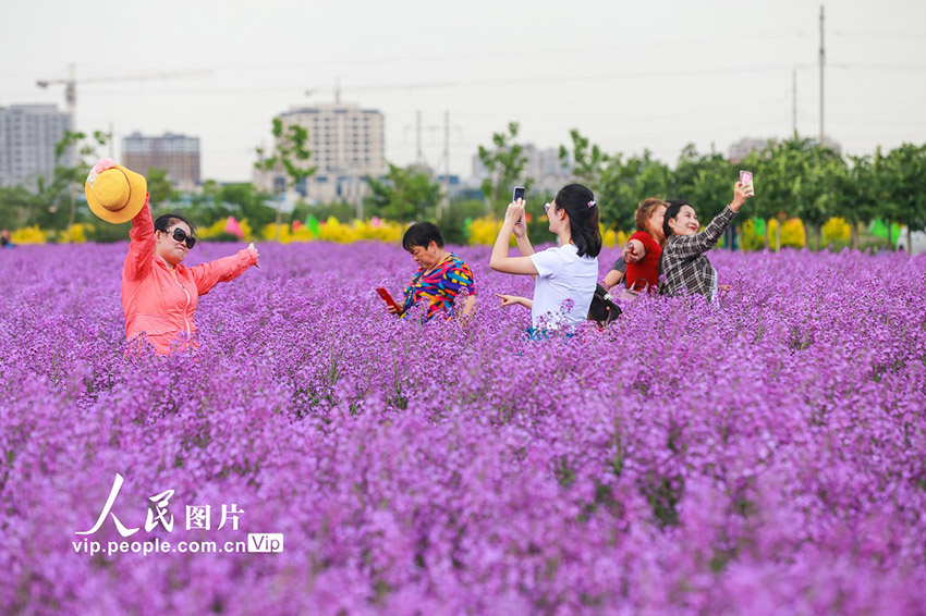 ????? ???? ??????? (????????) ?????? ???? ???? ???? ????????