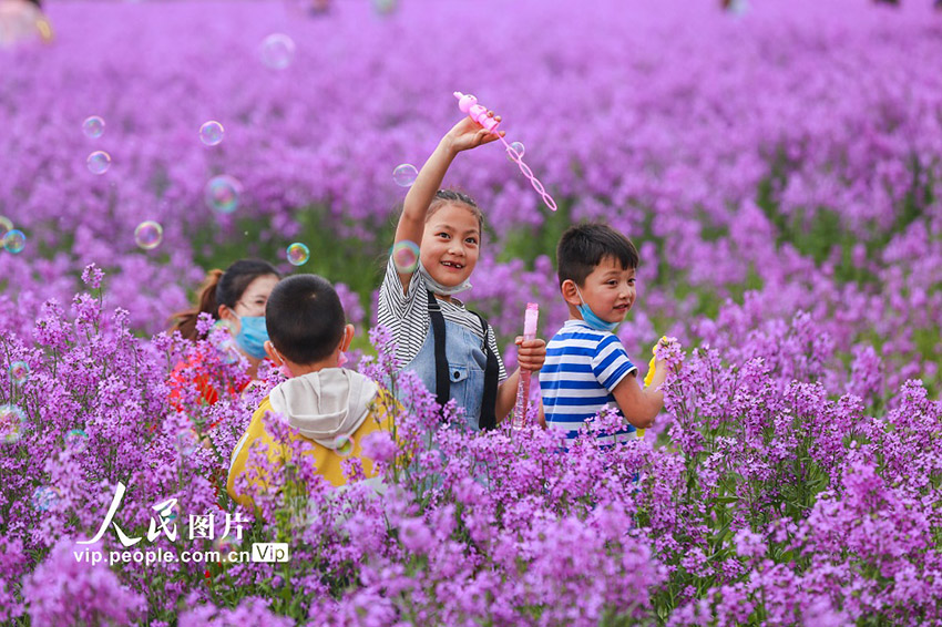 ????? ???? ??????? (????????) ?????? ???? ???? ???? ????????