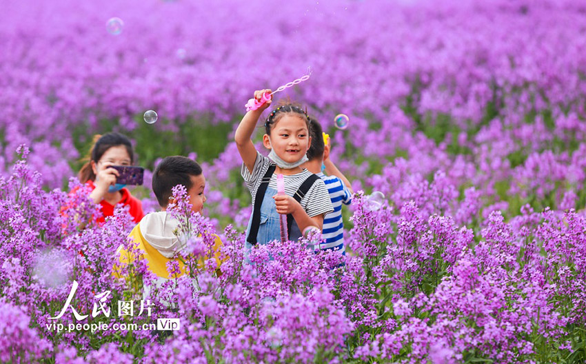 ????? ???? ??????? (????????) ?????? ???? ???? ???? ????????