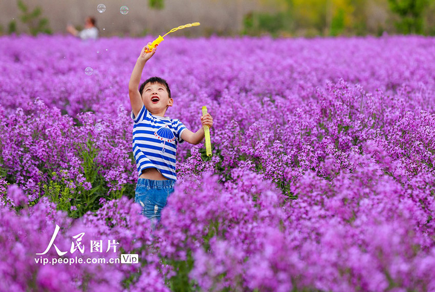 ????? ???? ??????? (????????) ?????? ???? ???? ???? ????????