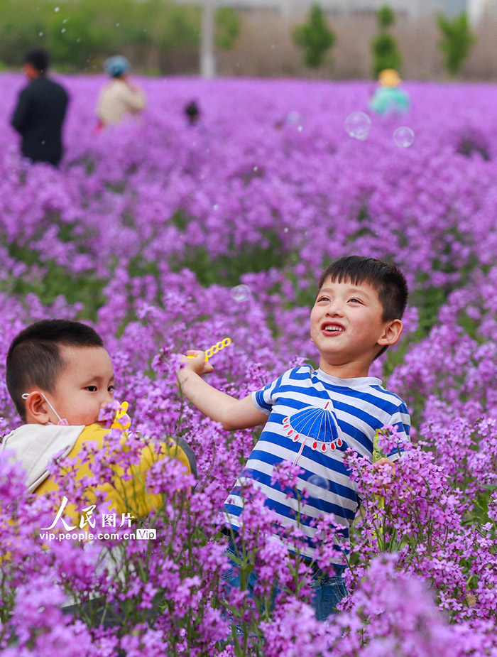 ????? ???? ??????? (????????) ?????? ???? ???? ???? ????????