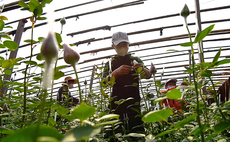 ????? ???? ???? ????? ?????? ????? ????? ????????