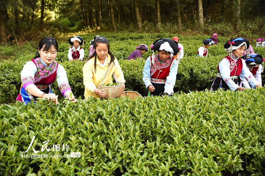 ???: ?????? ???? ??? ????? ?? ?????? ?????